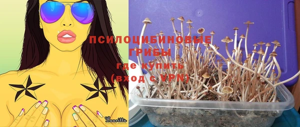 крисы Майский